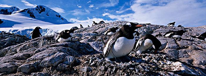 斯宾塞：Xbox将赋能暴雪 暴雪的未来比以往任何时候都更加光明