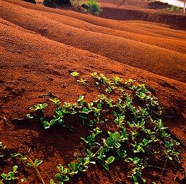 Xbox金会员7月会免公布 《瑞利达》在内共四款游戏